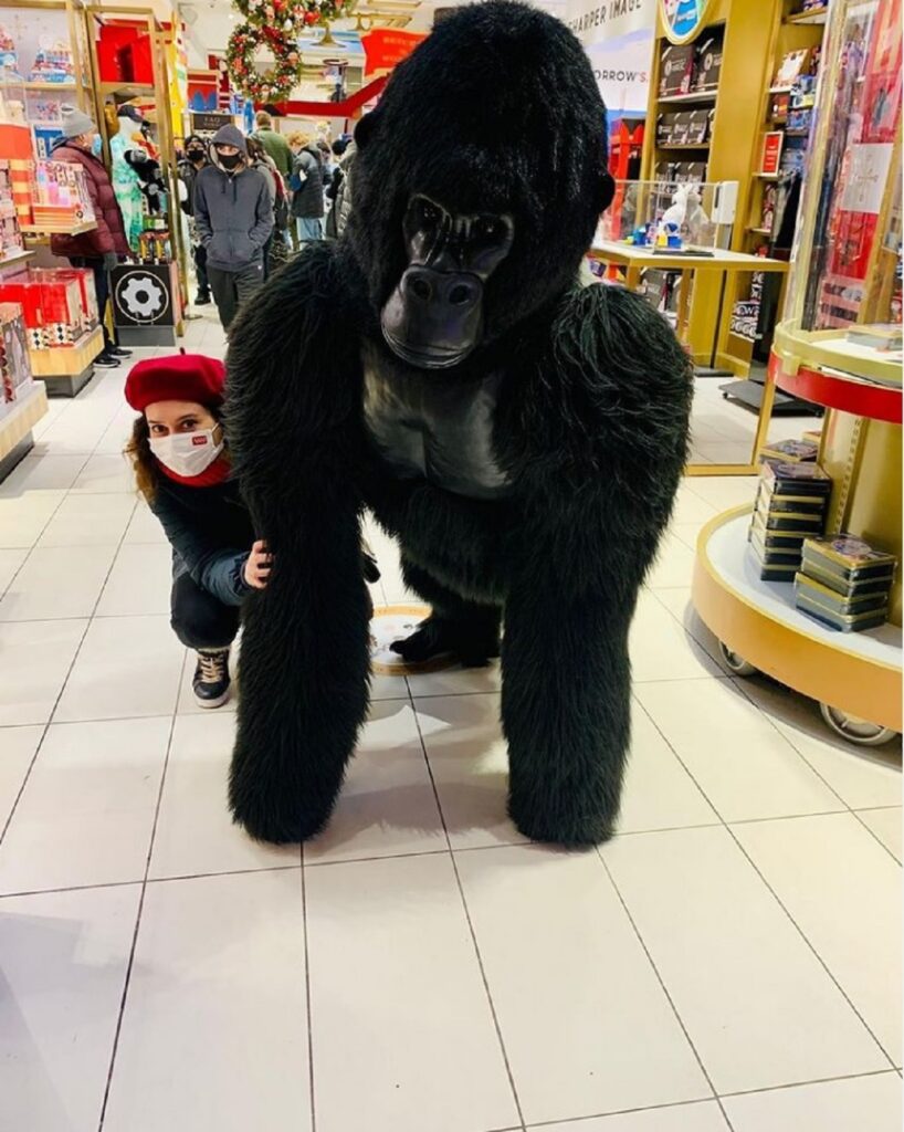 Isabel Díaz Ayuso publica una foto junto a un gorila