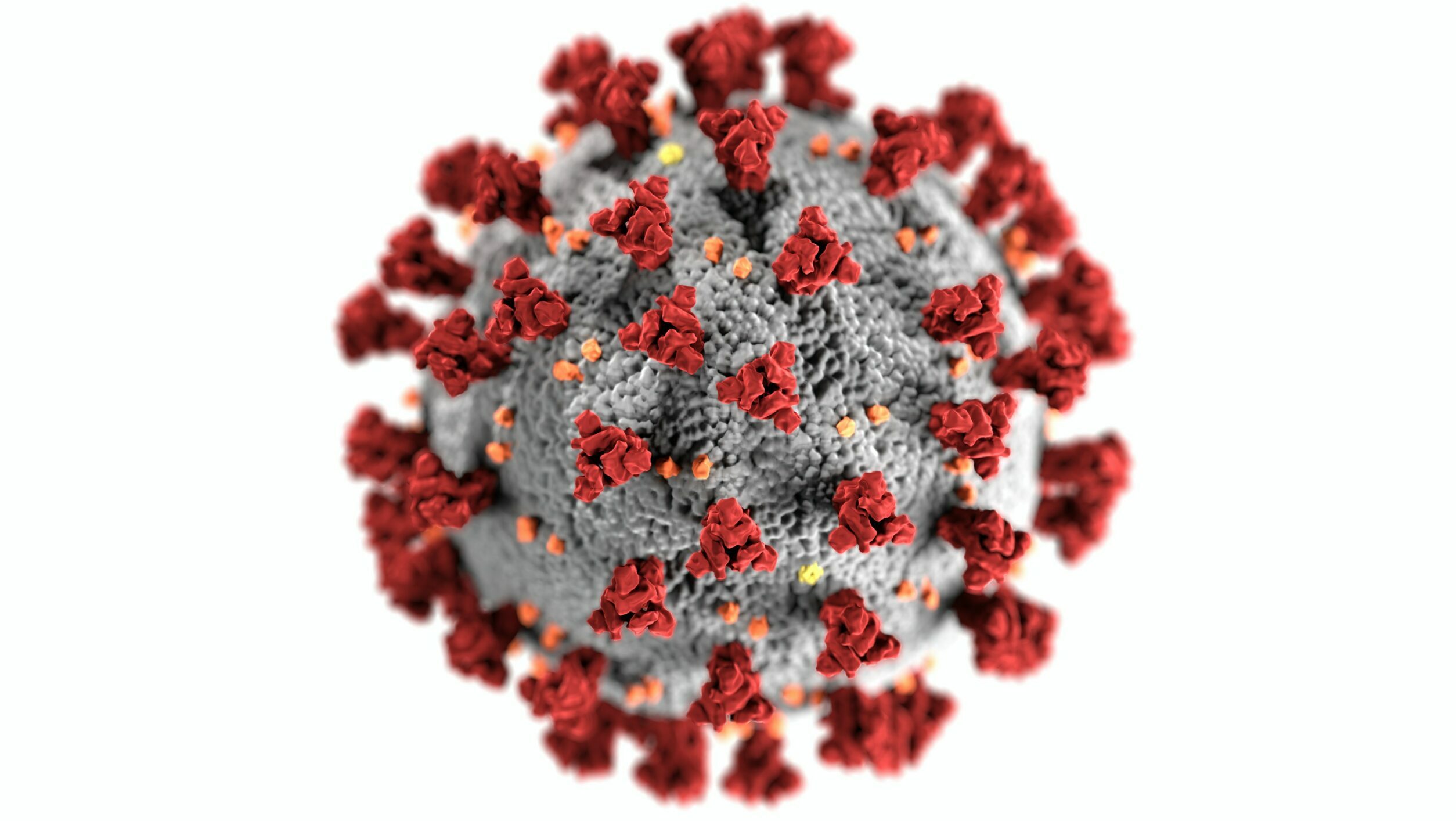 Representación del virus covid-19