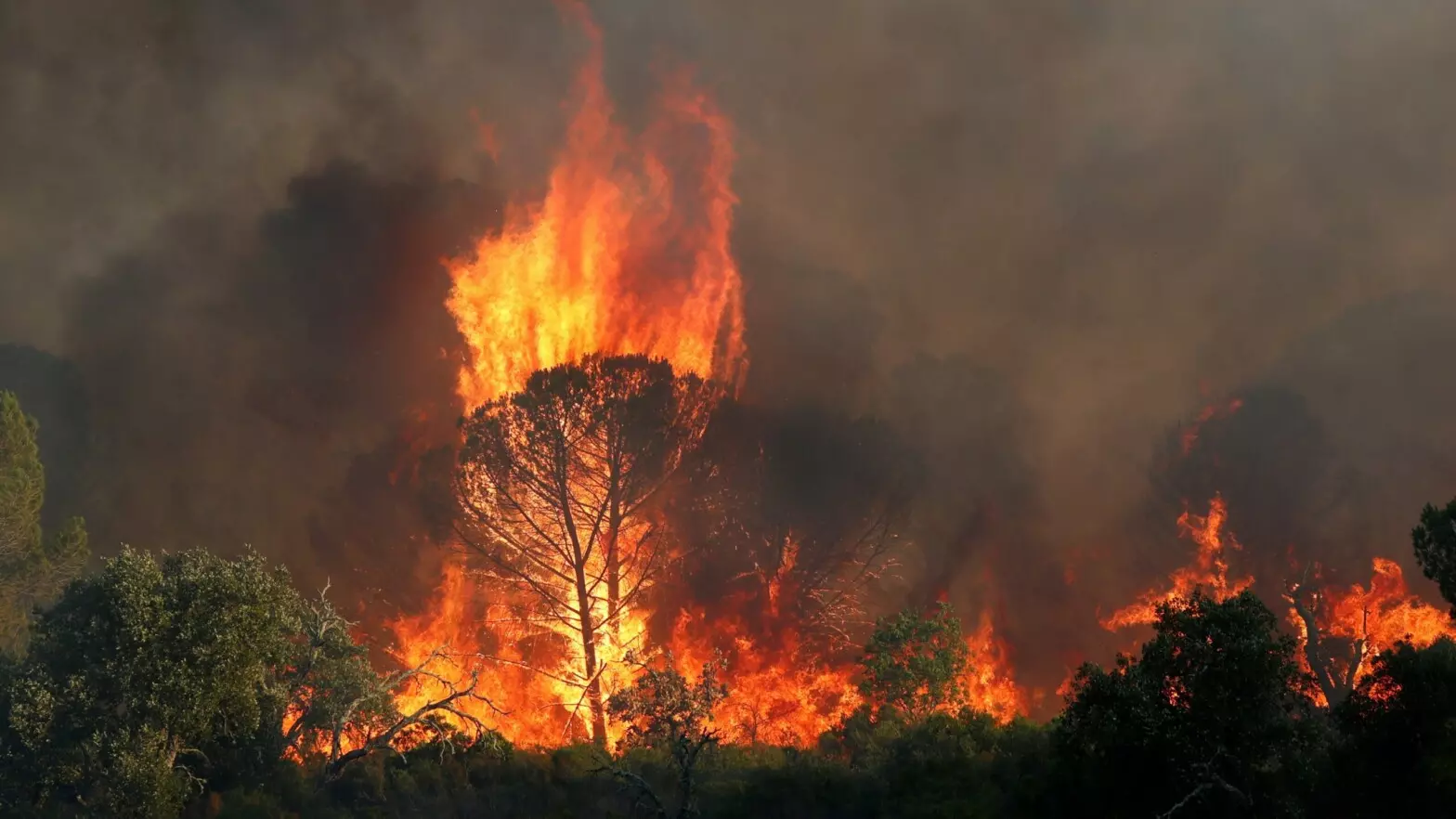 incendios por sequía en España