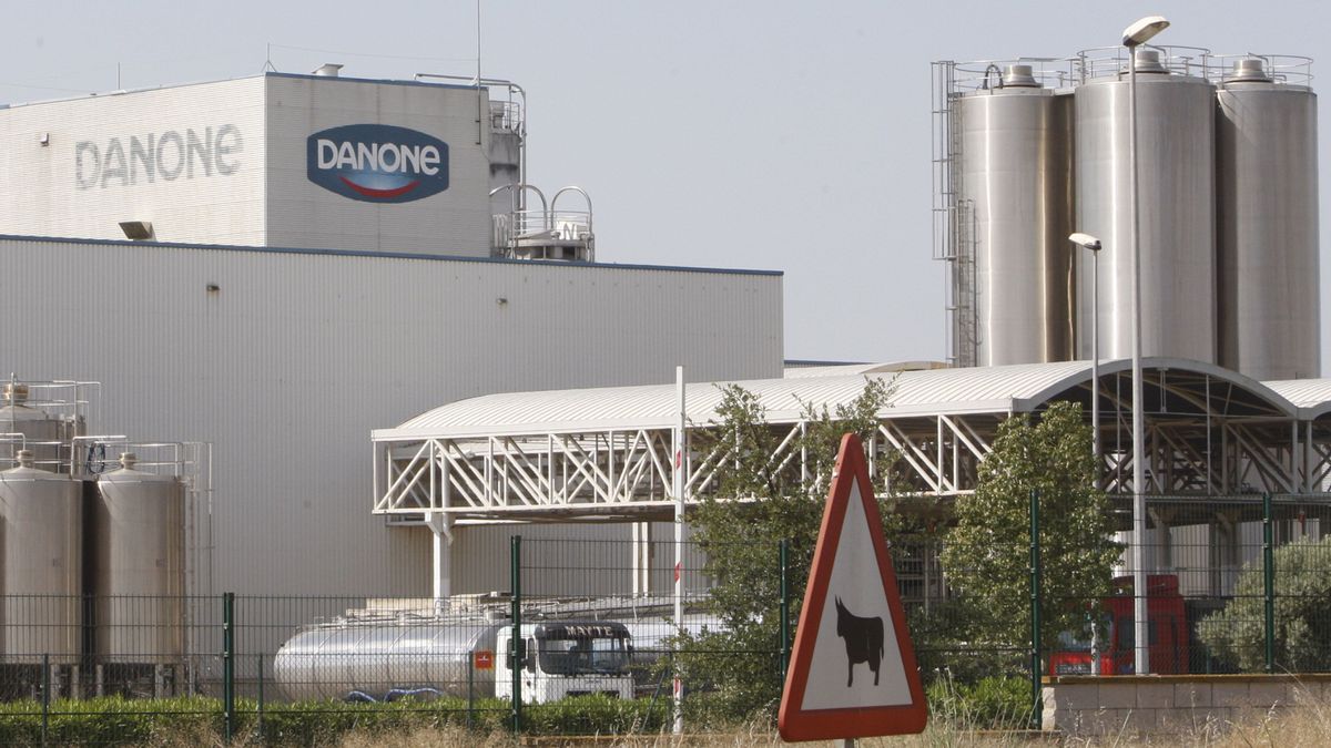 Danone para la producción en varias de sus plantas en España por falta de  materias primas