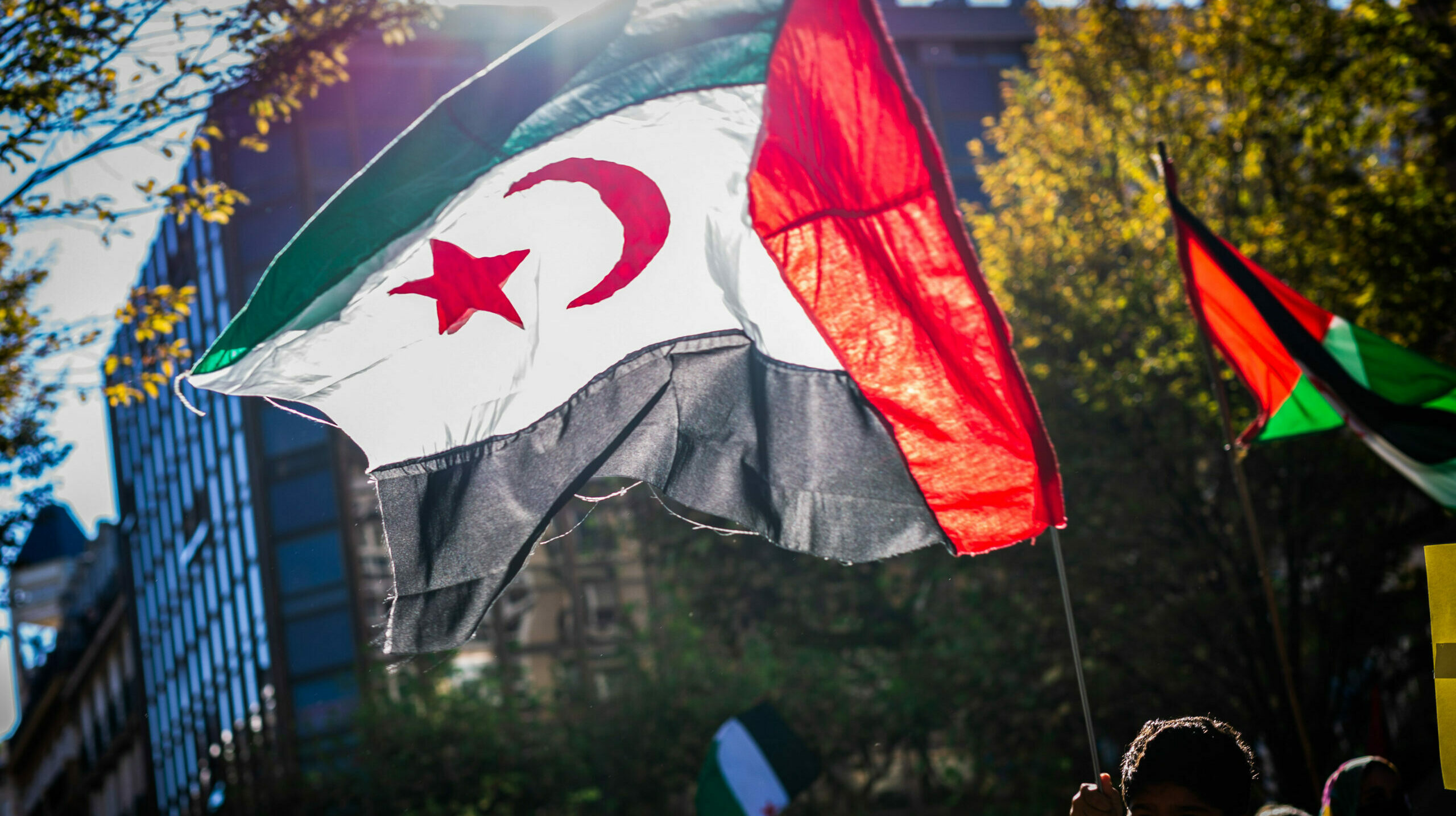 Los expertos avisan: el apoyo de Sánchez al plan marroquí para el Sáhara es una violación del derecho internacional