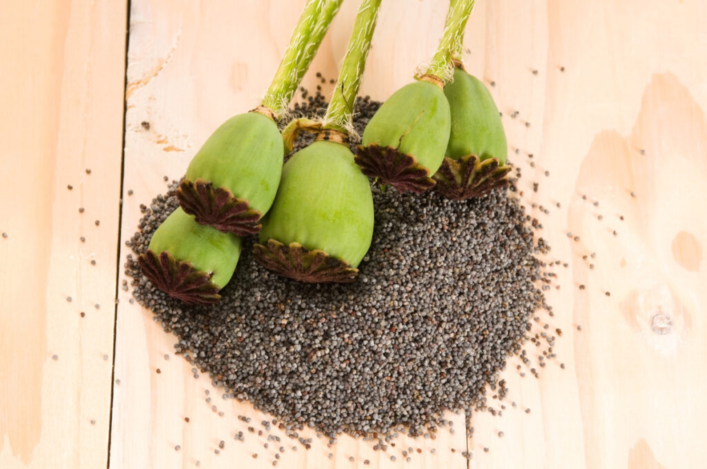 Beneficios de las semillas: chía, lino y sésamo • Blog de ecología