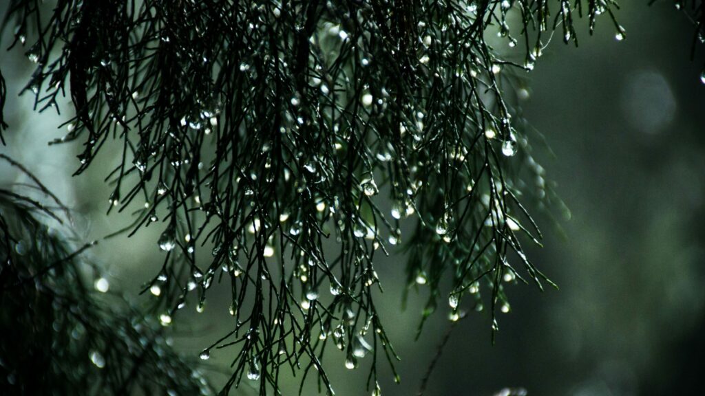 El tiempo hoy Aemet: un nuevo frente dejará precipitaciones en Galicia y la cordillera Cantábrica este miércoles