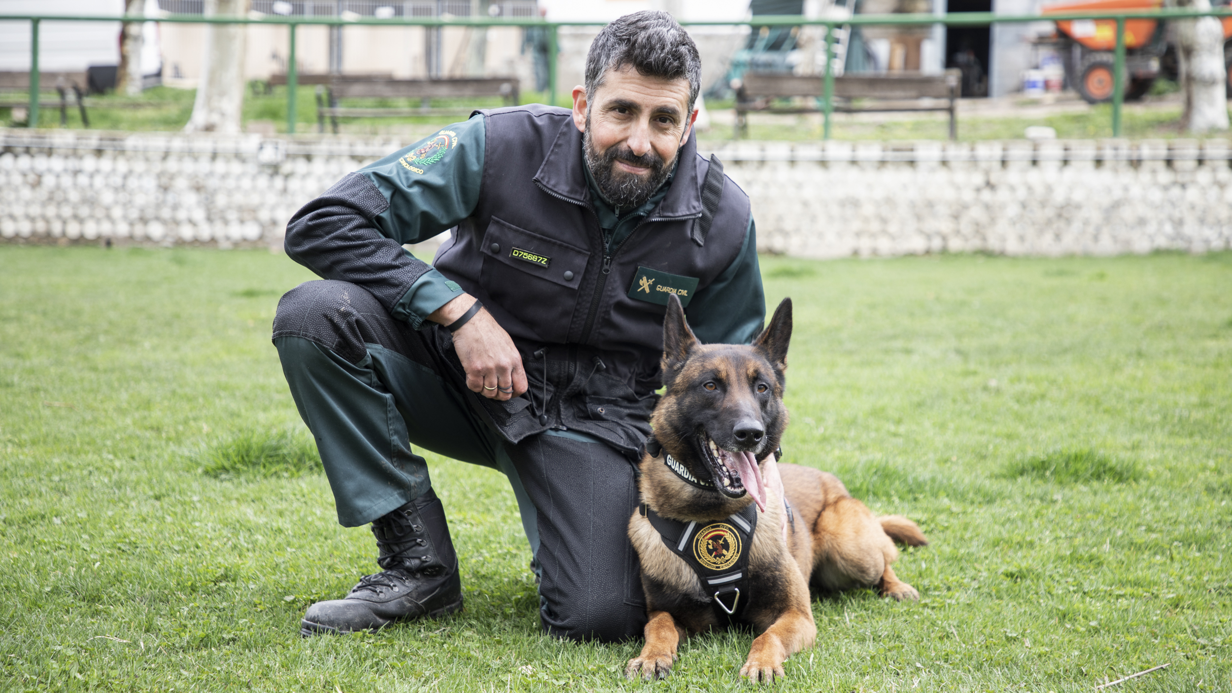 Escuela de perros policía: así se construyen los héroes de cuatro patas