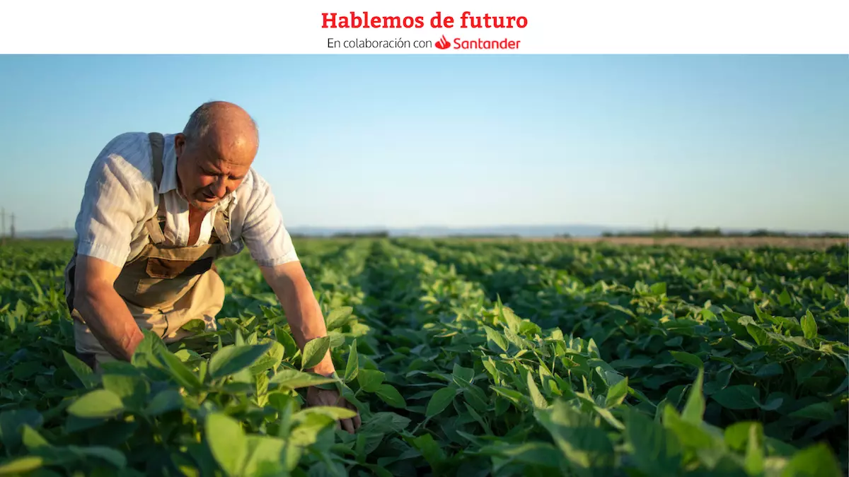 Dar un nuevo impulso al sector agroalimentario, una prioridad social.