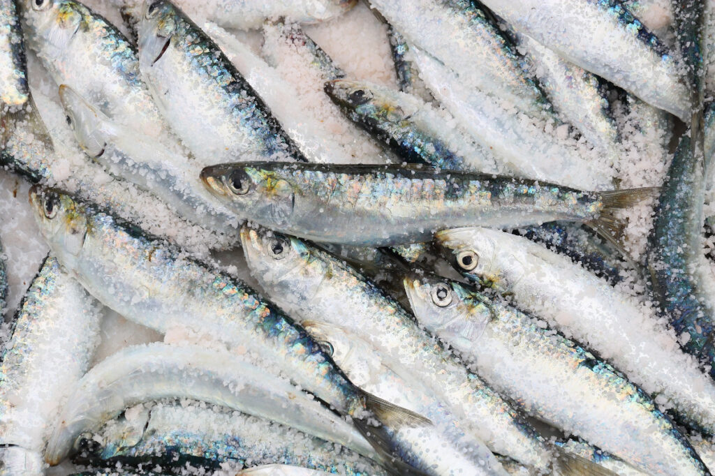 Los ocho alimentos que causan las alergias más comunes: pescado