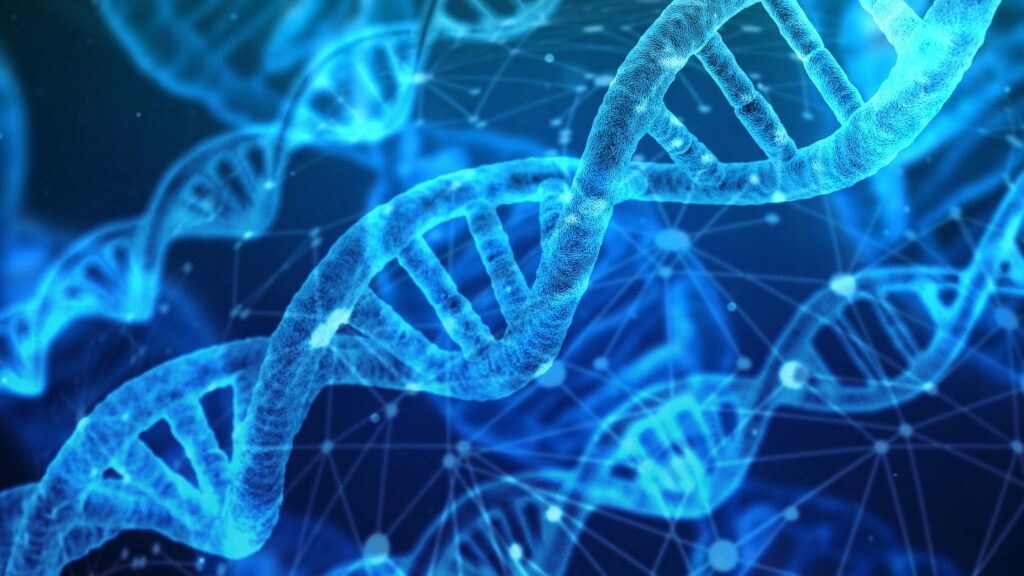 Logran la primera secuencia completa del genoma humano