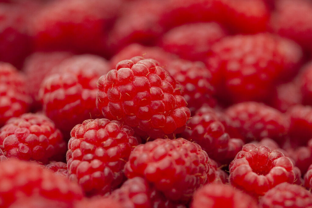 Frutas que debes comer si quieres adelgazar: frambuesa
