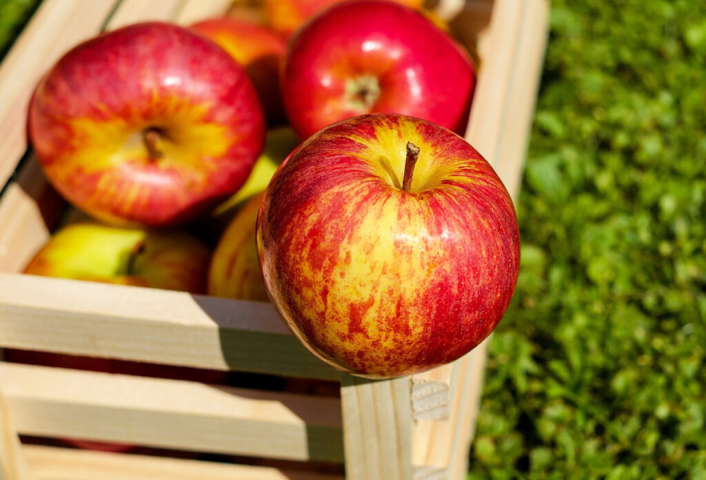 Frutas que debes comer si quieres adelgazar: manzana