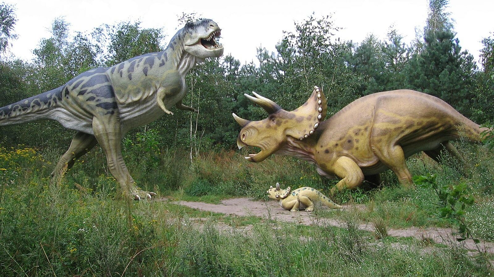 Los triceratops eran de sangre fría y los tiranosaurios de sangre caliente