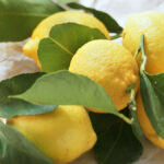 Ocho usos del limón que no conocías: desinfecta, endurece las uñas y elimina las manchas de la piel