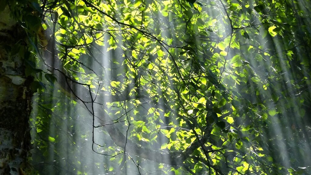 Caen las temperaturas en la mayor parte del país, con lluvias y tormentas en el norte