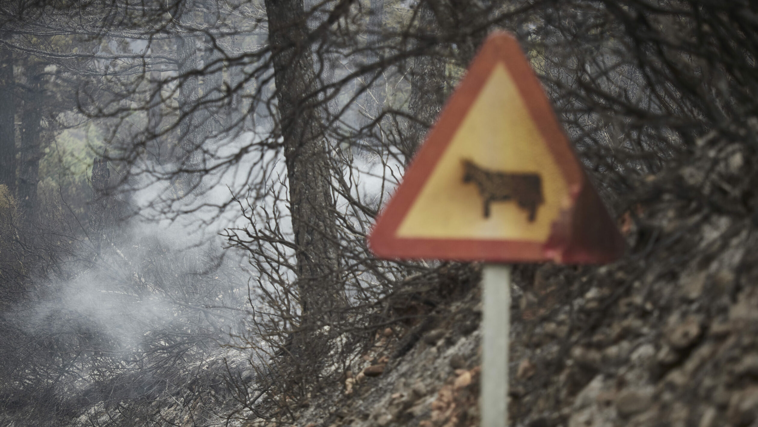 Continúan activos los incendios forestales de Navarra aunque la situación es "más favorable"