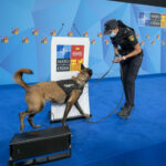 Una agente de la Policía Nacional con un perro adiestrado en Ifema. Alberto Ortega / Europa Press.