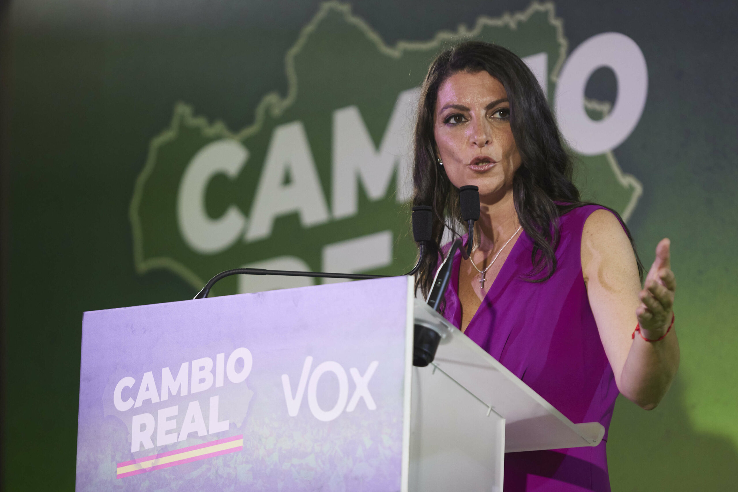 Olona lanza una 'pulla' a Moreno Bonilla: "Yo no he escondido nunca las siglas de mi partido"