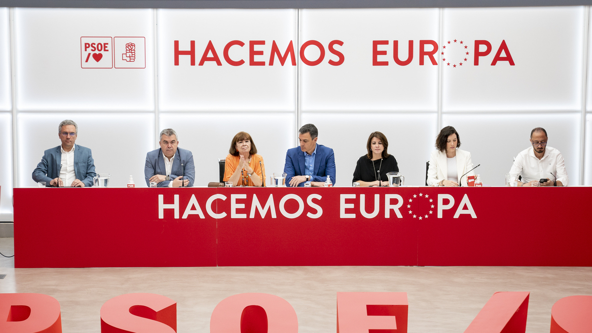 El secretario general del PSOE, Pedro Sánchez (c), preside la reunión del Comité Ejecutivo Federal, este lunes.