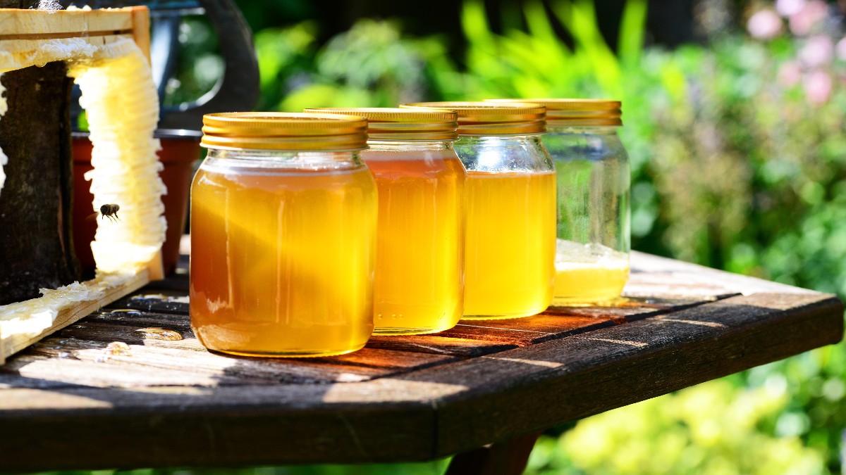 abejas-jalea-miel-2