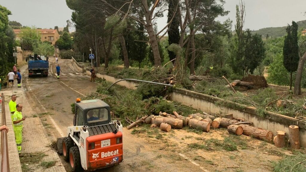 Una fuerte tormenta provoca un tornado y la caída de grandes árboles en Alcañiz (Teruel)