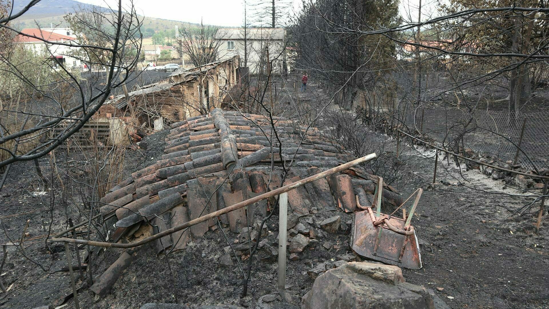Castilla y León destina 35 millones a paliar los daños del incendio de Zamora