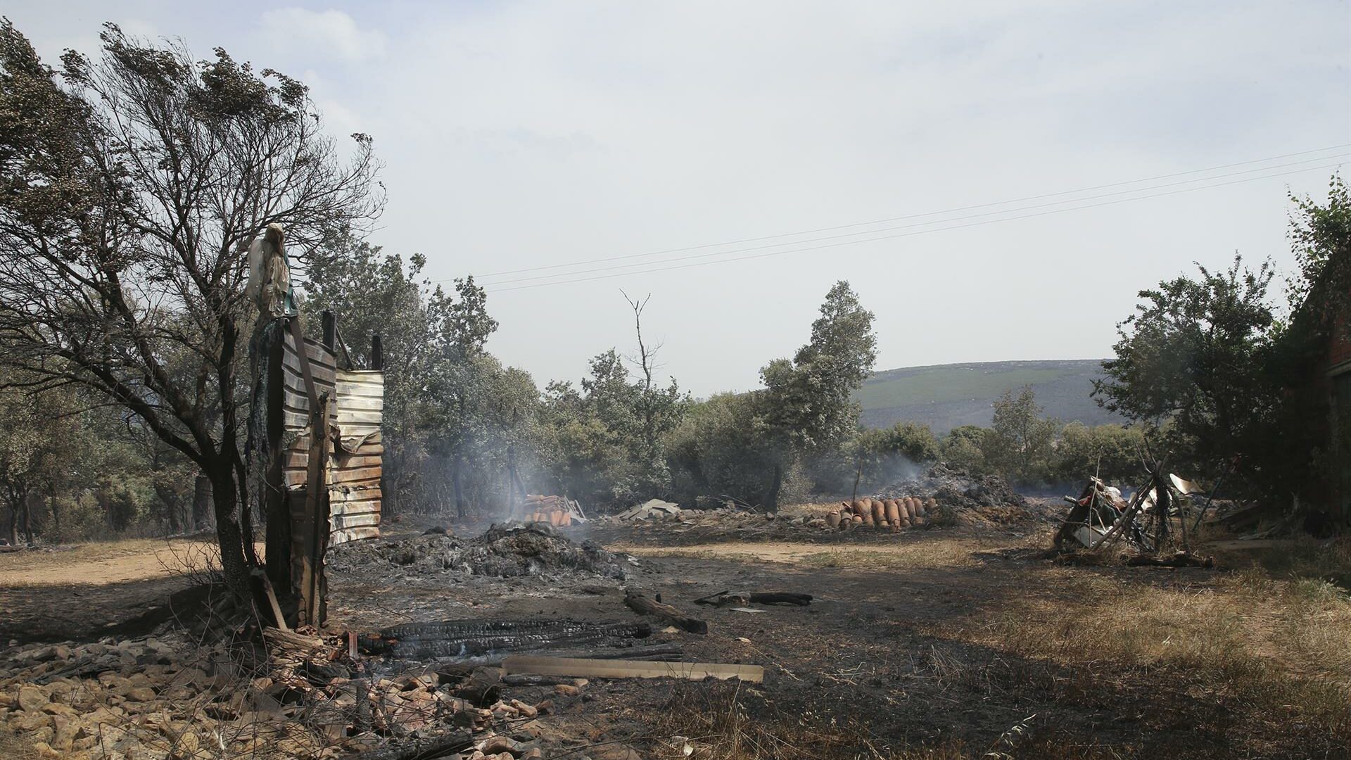 El incendio de Zamora sigue descontrolado y se valora el desalojo de más municipios