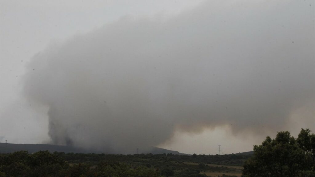 Los incendios calcinan España: 20.000 hectáreas en Zamora y fuegos en otras CCAA