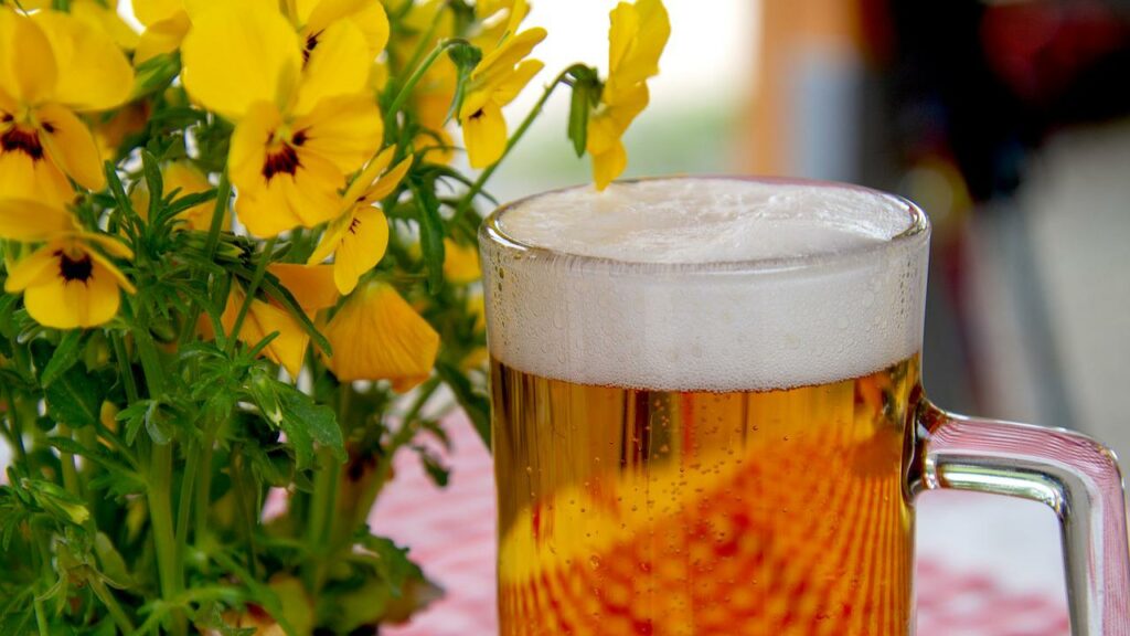 Las historias más divertidas sobre la cerveza y su elaboración: ¡celebra su Día Mundial!