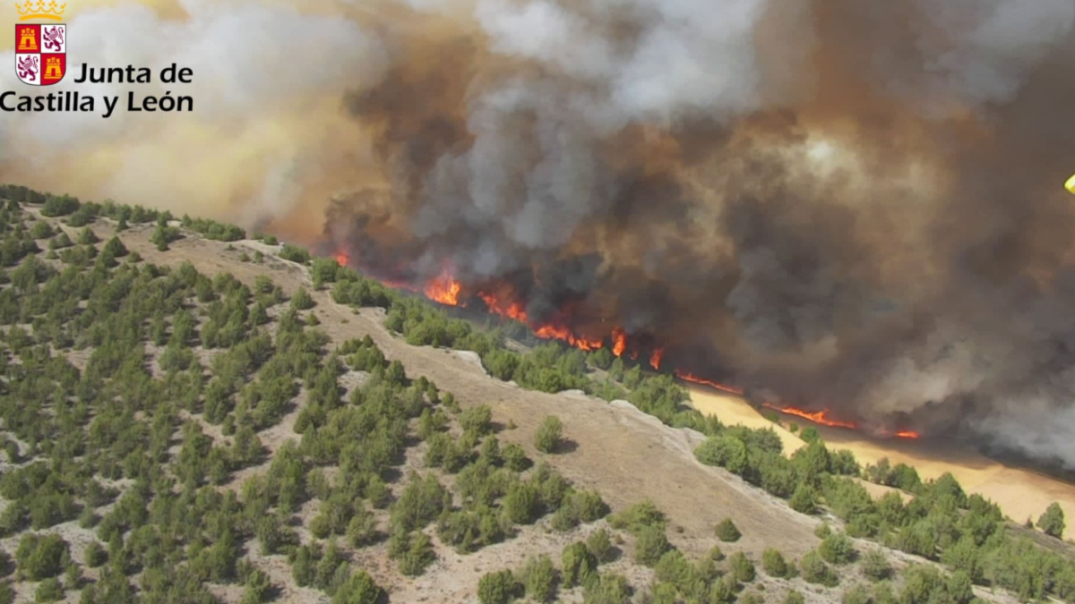 Incendio de Burgos: detenido un agricultor que presuntamente originó las llamas con una cosechadora