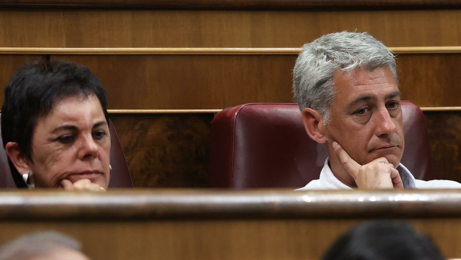 Bildu emplaza a Sánchez a "romper" con la dictadura y se ofrece a "democratizar" el Estado