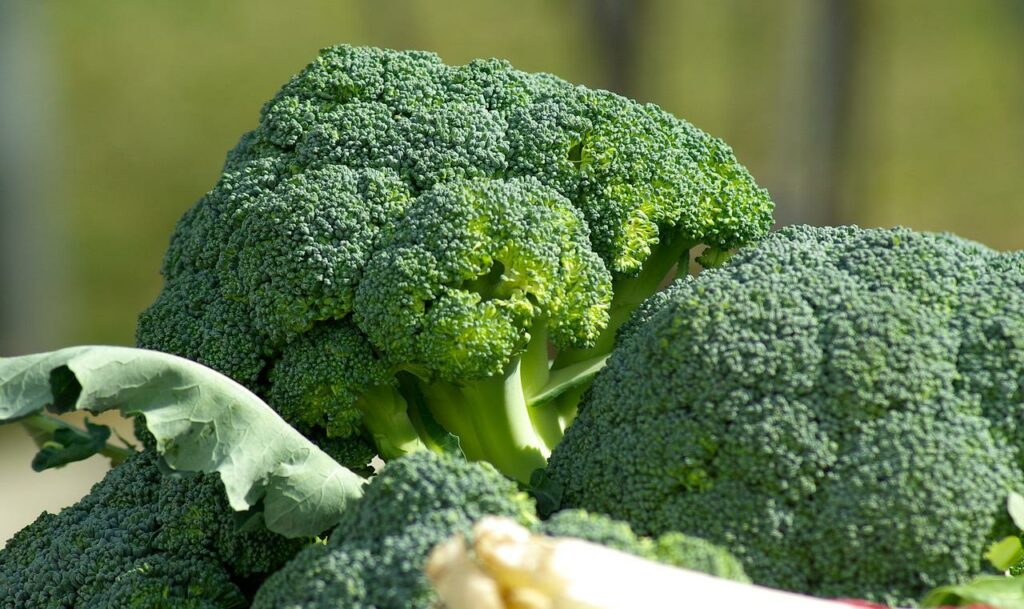 Canas: estos son los alimentos que debes comer para prevenir su aparición prematura: brócoli