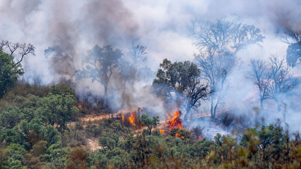 La ola de incendios no cesa y sigue arrasando Andalucía y Extremadura