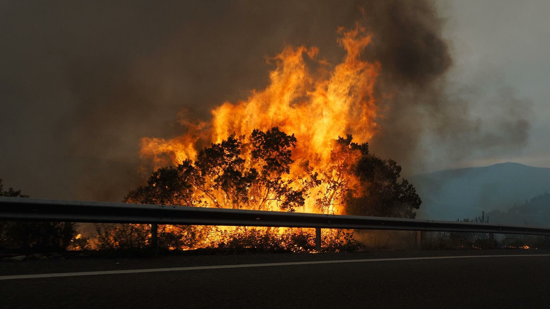 El fuego arrasa al menos 30.000 hectáreas en toda España y se cobra la vida de dos personas