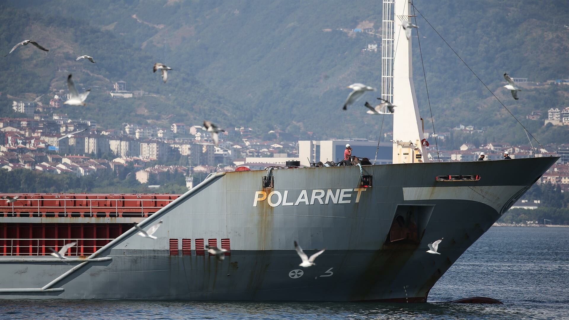 El carguero de bandera turca Polarnet que partió del puerto ucraniano de Chornomorsk