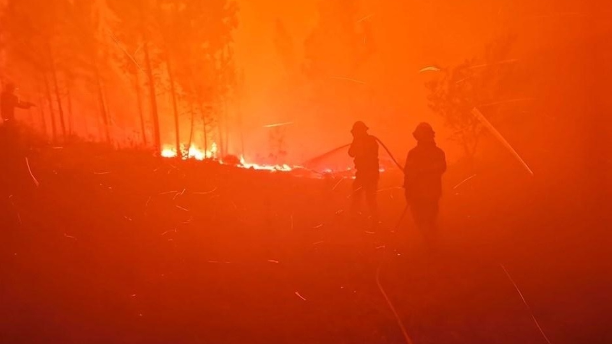 El fuego se ceba con Portugal: el fuego calcina el 25 % de su mayor área protegida