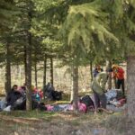 Los refugiados descansan entre los árboles después de no poder cruzar la frontera con Grecia.