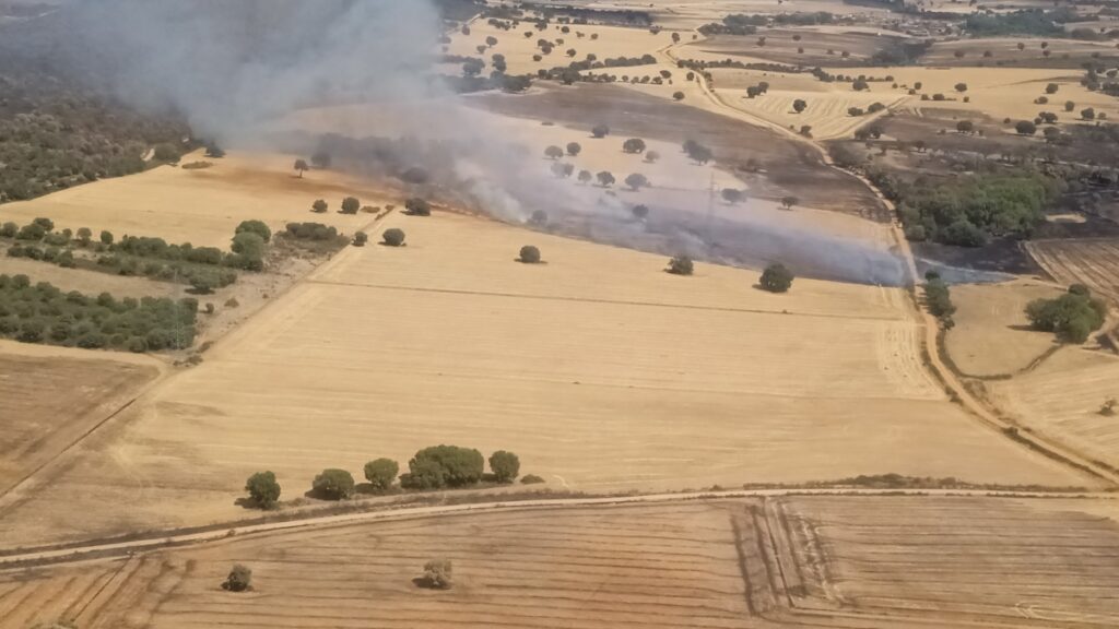 Controlado el incendio de Losacio, el mayor del año, dejando 31.500 hectáreas quemadas