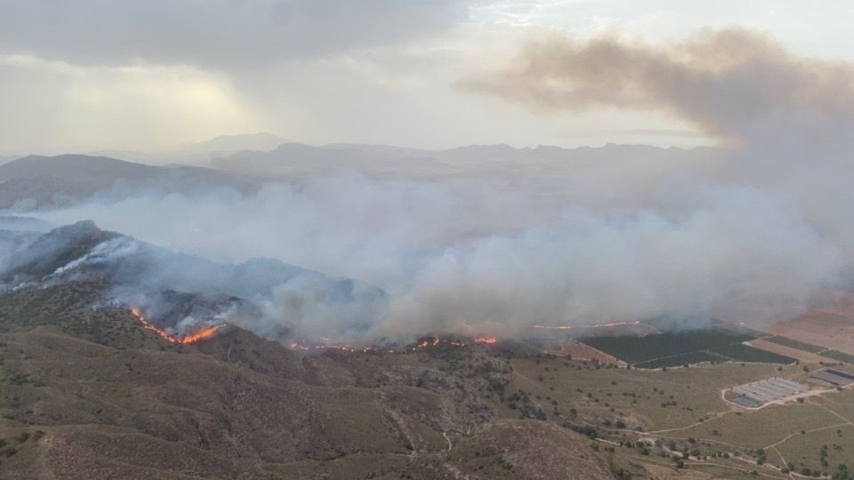 El fuego no da tregua: nivel 2 en Jumilla, riesgo "extremo" en Navarra y control en Cañamares
