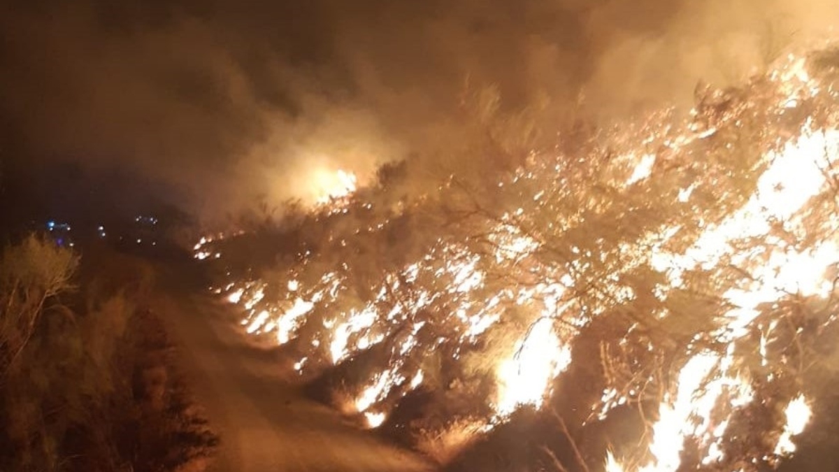 Extinguido el incendio forestal declarado este viernes en Casabermeja (Málaga)