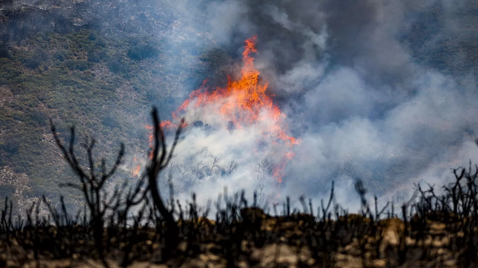 El incendio de Bejís (Castellón) está estabilizado y sin ningún frente activo