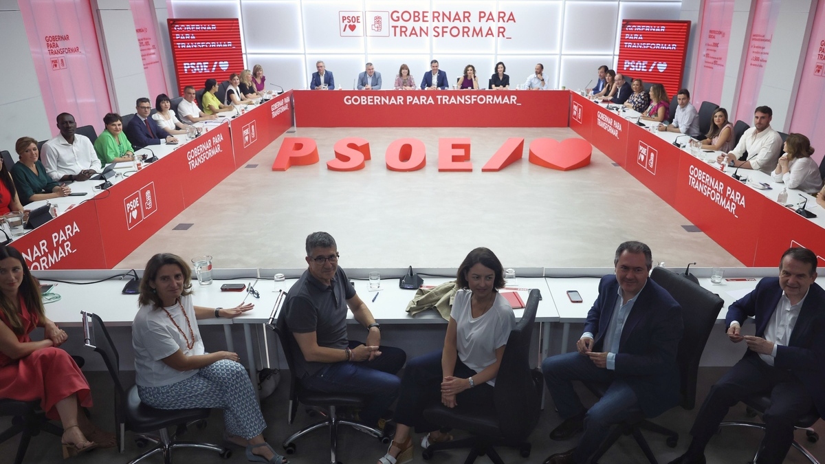 Reunión de la Ejecutiva Federal del PSOE, el pasado 29 de julio, en la sede de la calle de Ferraz, en Madrid.