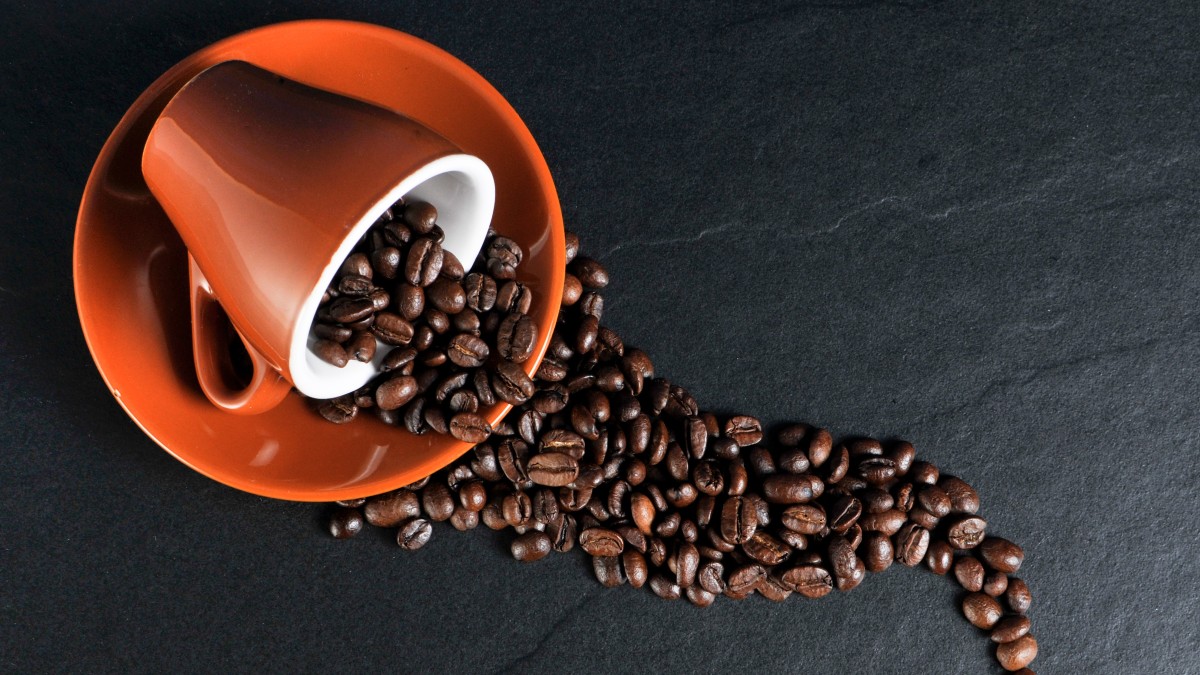 El café y sus beneficios para cuidar tu piel por dentro y por fuera