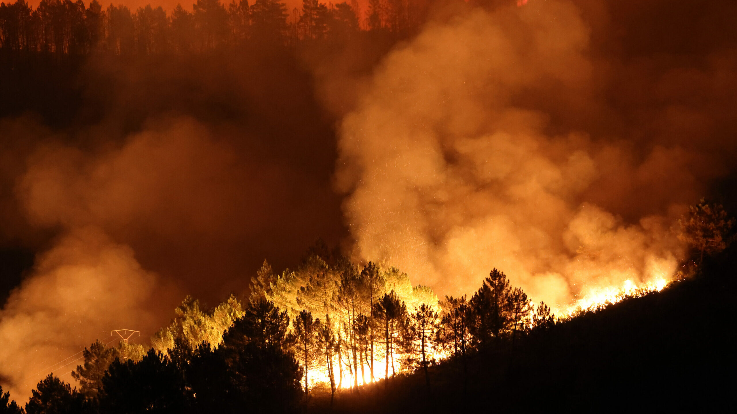 Incendio en la localidad de Campobecerros, Ourense, en la madrugada de este lunes. EFE/ Sxenick