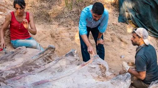 Hallan en Portugal esqueleto del que podría ser el mayor dinosaurio de Europa