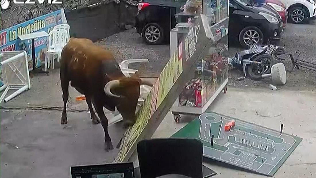 El toro entrando en la tienda de Perú