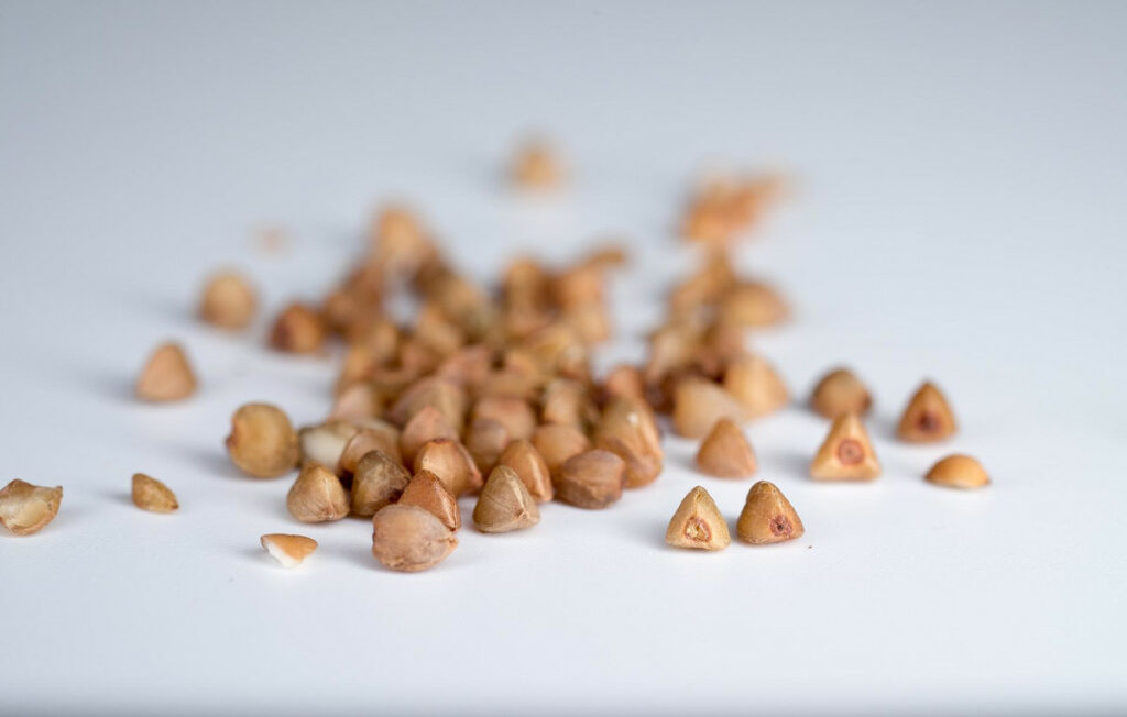Trigo sarraceno, beneficios de esta semilla rica en proteínas y fibra, que sacia el apetito y es apta para celiacos