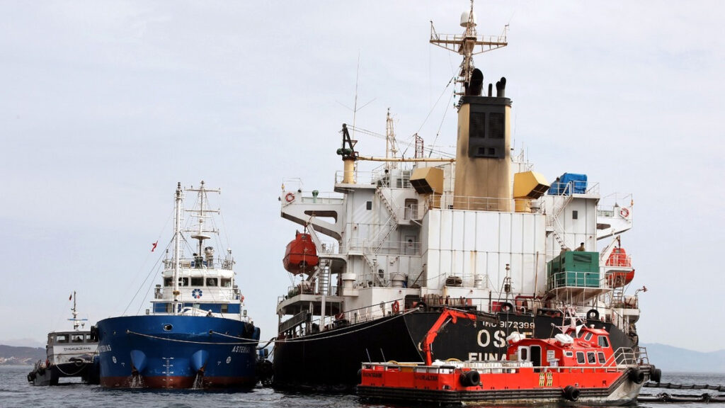 Un grupo conservacionista llevará a la UE el accidente del buque de Gibraltar