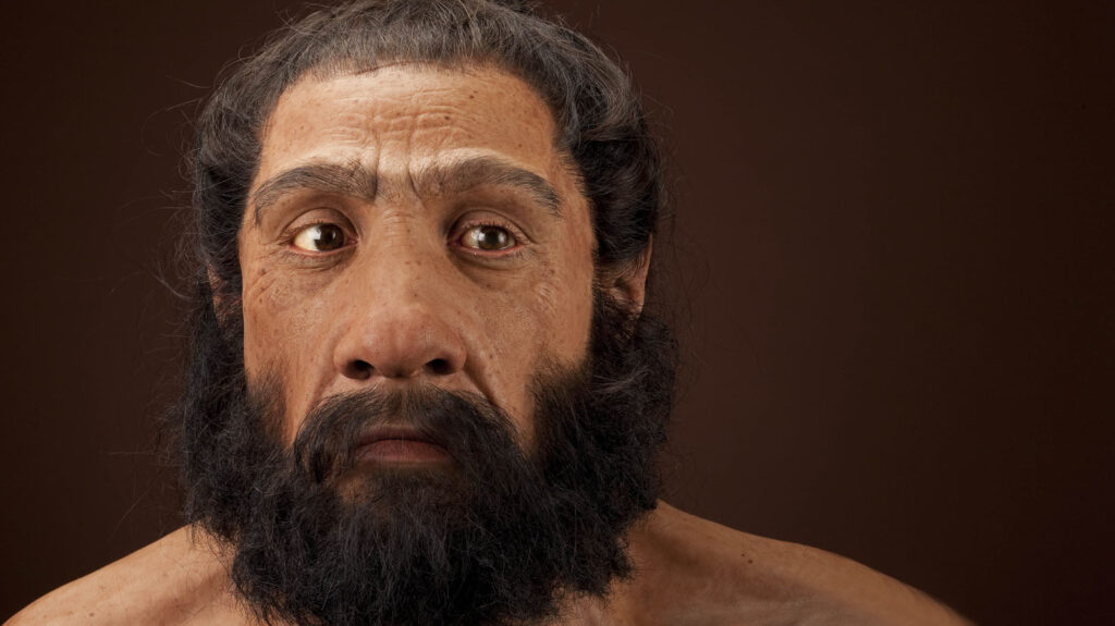 Neandertales y humanos modernos coexistieron durante al menos 1400 años