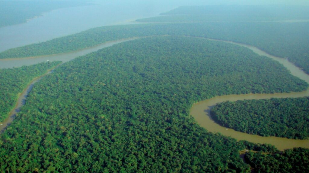 ¿Por qué estas elecciones brasileñas son cruciales para el futuro del Amazonas?
