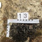 Parte del material explosivo encontrado en un zulo del País Vasco