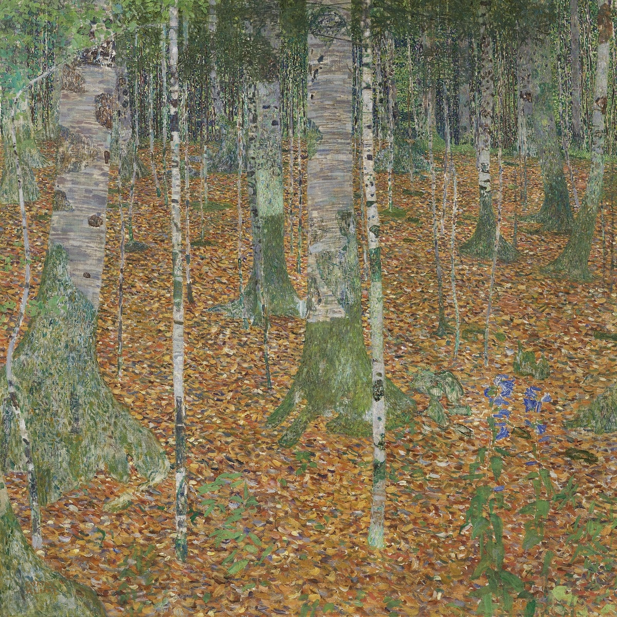 'Birch Forest, de Klimt
