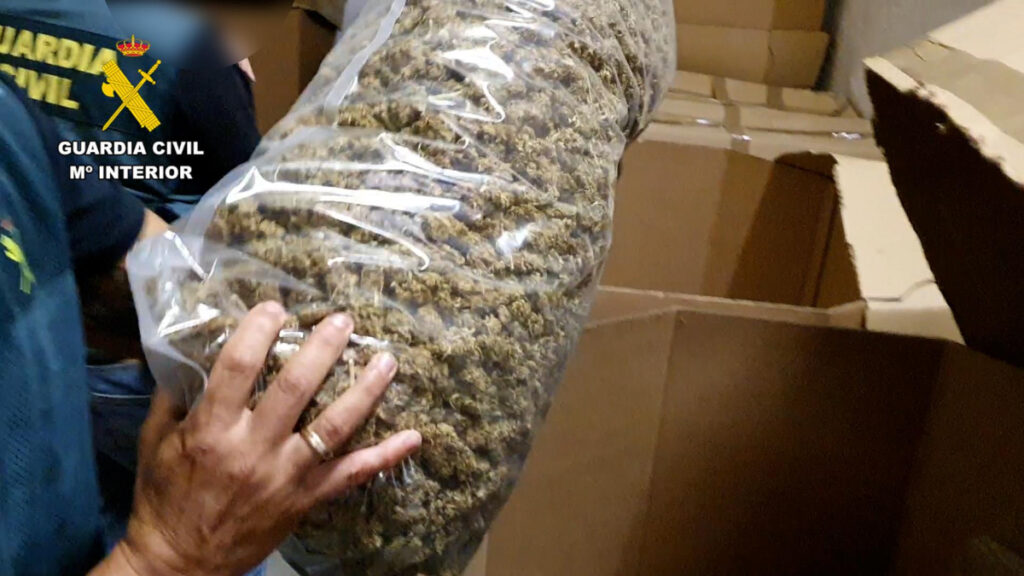 Descubren el mayor alijo de marihuana: 32 toneladas de cogollos envasados